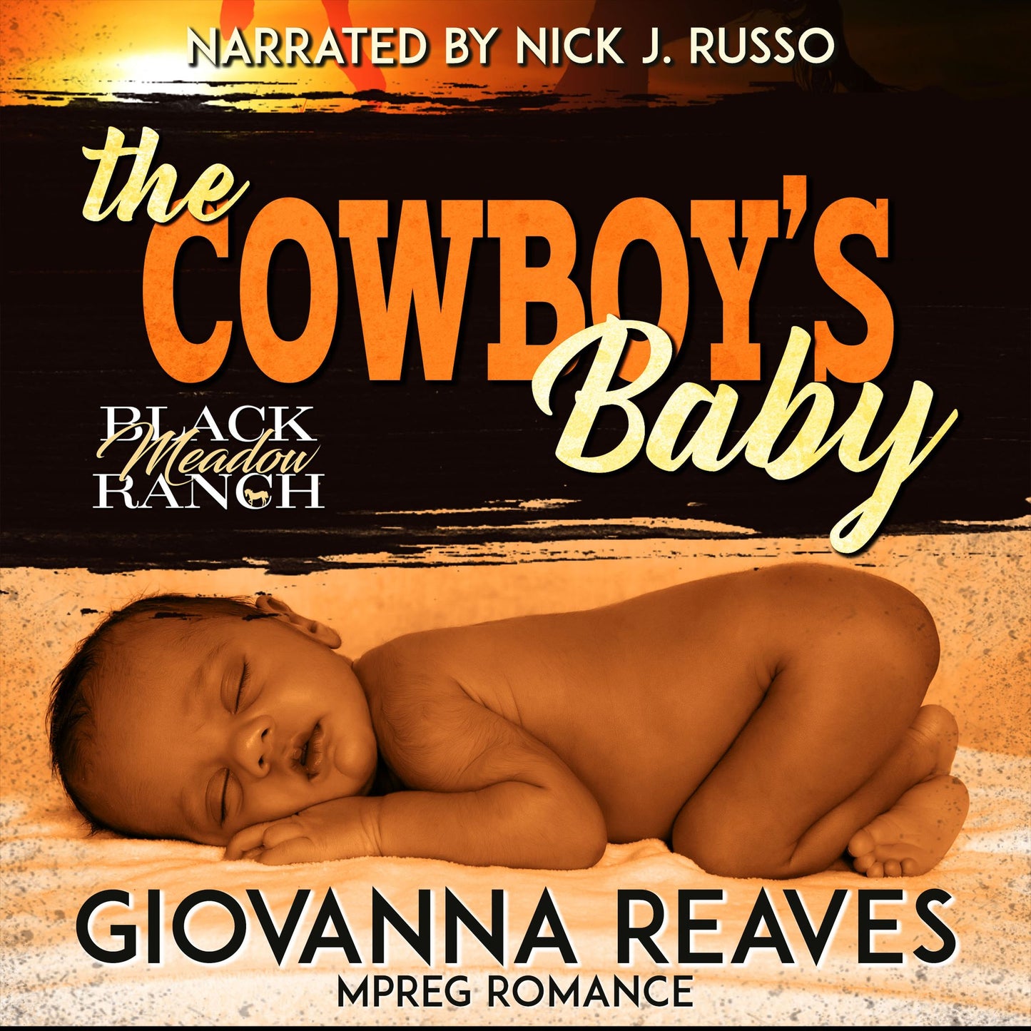 The Cowboy's Baby